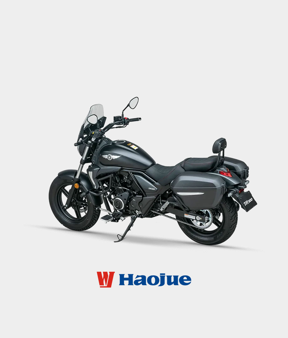 HAOJUE TR 300 CRUISER - Image 2
